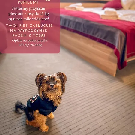 Winterpol Отель типа 