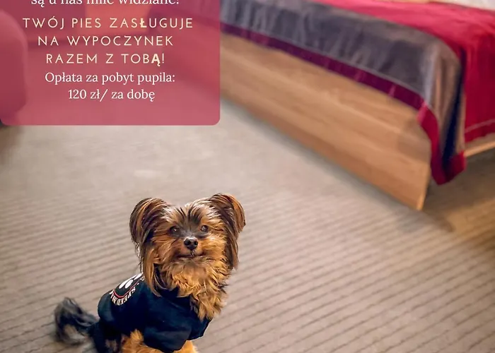 Winterpol Bed & Breakfast Karpacz